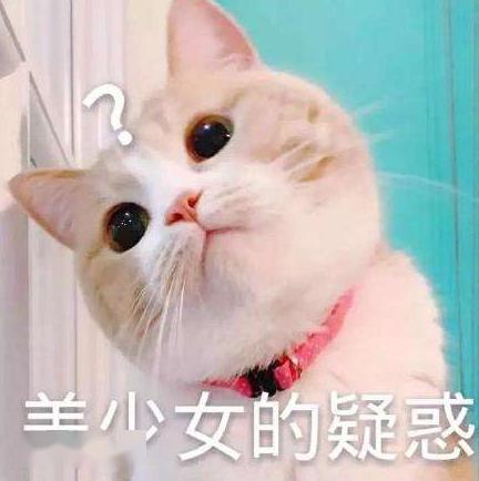 人可以吃猫粮吗？