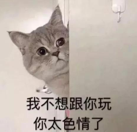 “好奇猫奶是什么味道，有人和我一样喝过猫奶吗？”